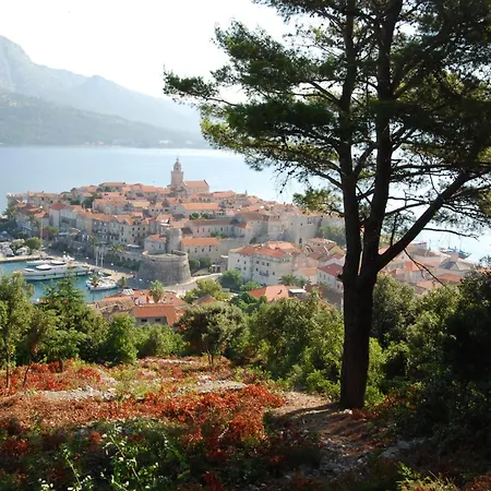 Nova Vela Luka
